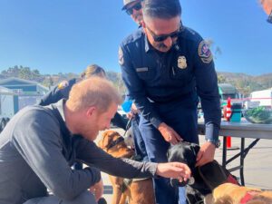 Prince Harry meets with Salinas Fire Department therapy dogs