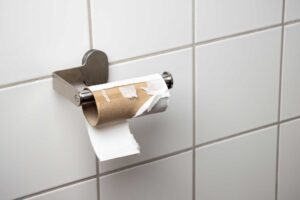 empty toilet paper roll